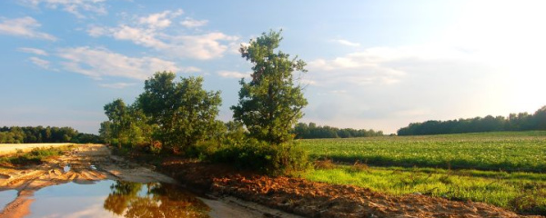 Un relato sobre ciencia, comunidad y esperanza desde la ECISA UNAD