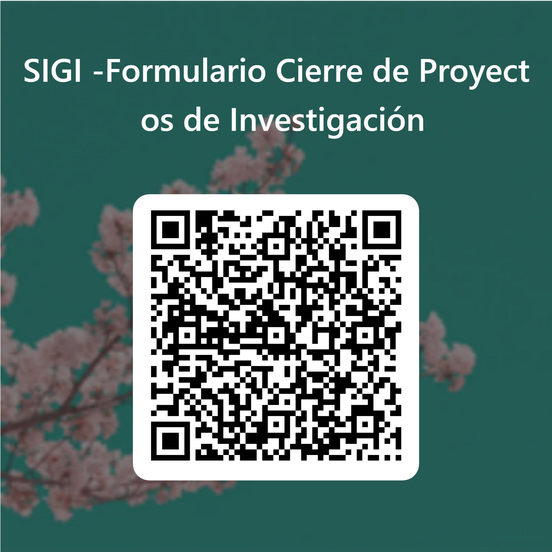 codigo.jpeg