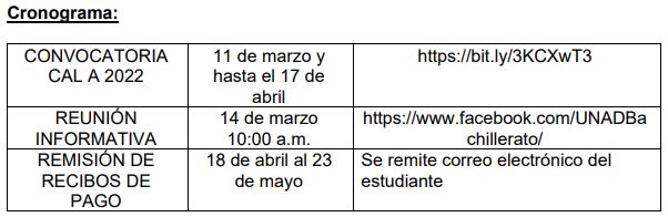 convocatoria 11