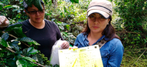 La entomología agrícola proyectando ciencia e innovación en la UNAD