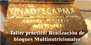 Taller práctico: realización de bloques multinutricionales para grandes y pequeños rumiantes a base de nnp
