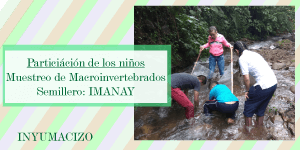 Los niños participan en un muestreo de macroinvertebrados en los principales afluentes del rio Guachicos.