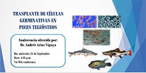 Conferencia: Trasplante de células germinativas en peces teleósteos