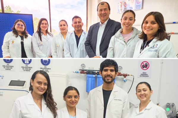 estudiantes mexico estancia investigacion programa delfin