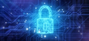 Conoce los HONEYTOKENS y sus usos para proteger datos