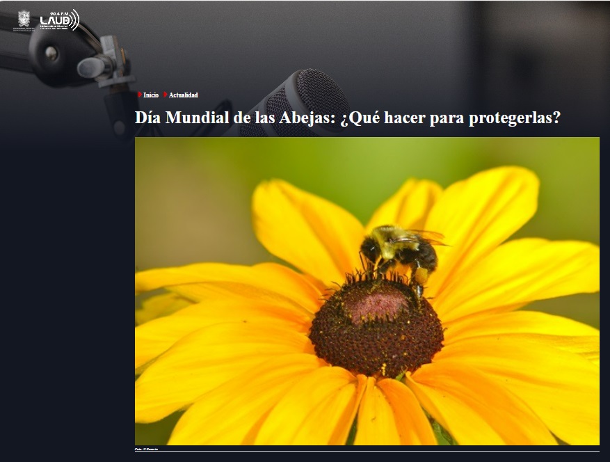 dia de las abejas UNAD