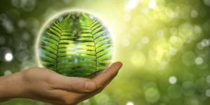 La UNAD abre las puertas al conocimiento verde con su programa en Administración Ambiental y de los Recursos Naturales