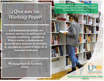 Convocatoria Working Paper RIAA