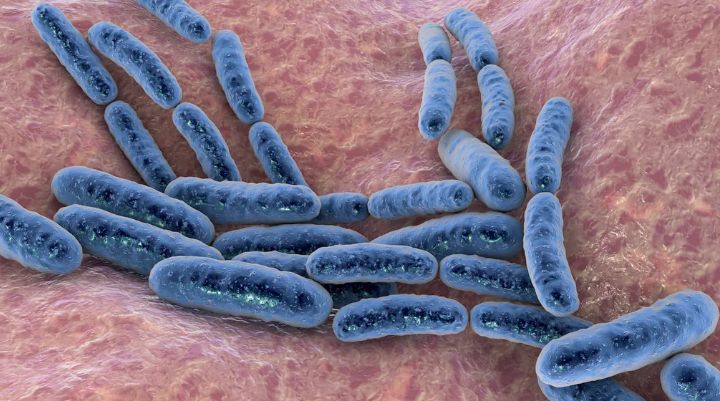 Entre bacterias y mareas: innovación alimentaria desde la bioconservación