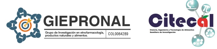 logo grupo