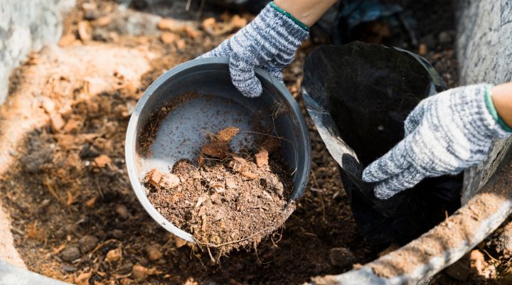La revolución silenciosa bajo nuestros pies