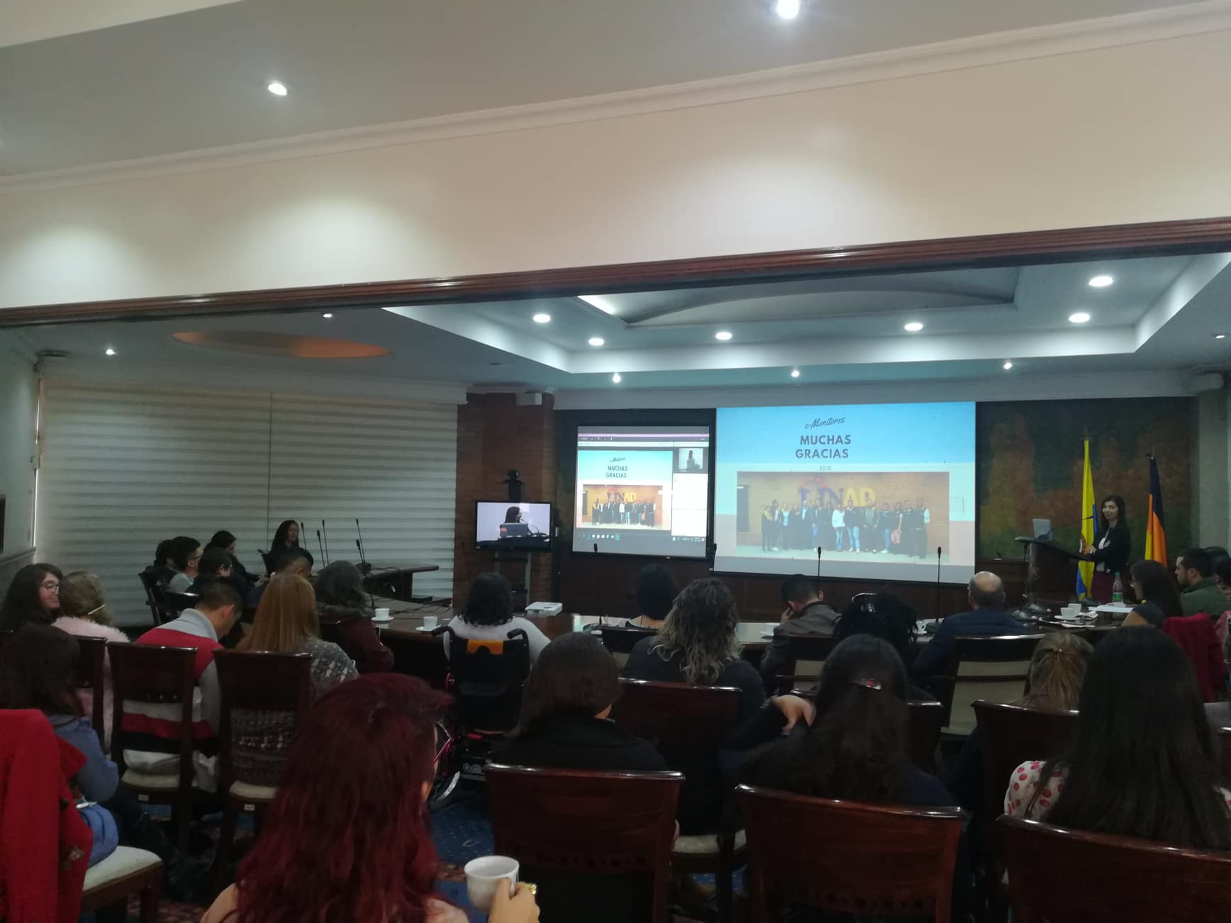 monitores