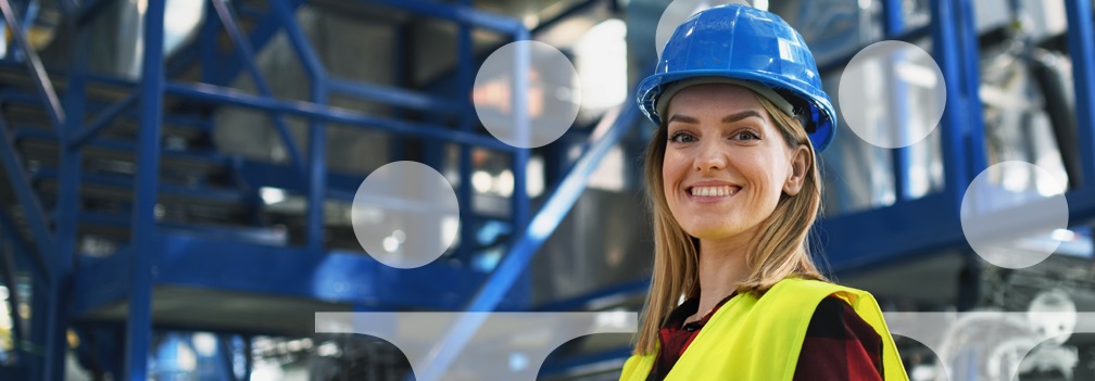 profesional en seguridad y salud en el trabajo