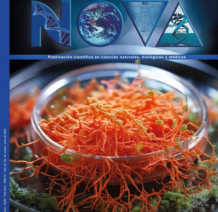 La UNAD fortalece su producción científica con la indexación de la revista NOVA en EMBASE