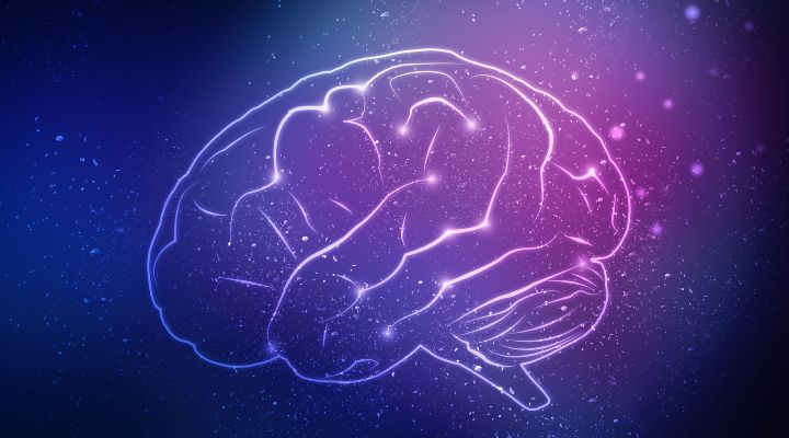 La UNAD participará en la Semana del Cerebro Colombia 2025
