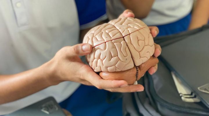 La UNAD celebró la Semana del Cerebro con experiencias inmersivas en neurociencia